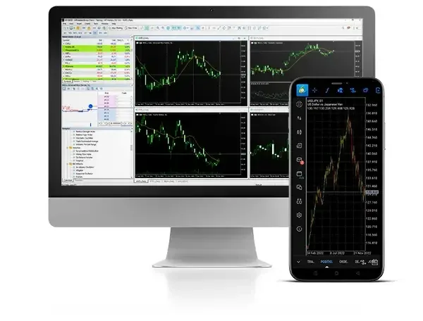 HFM — Visuel des produits et services du site officiel